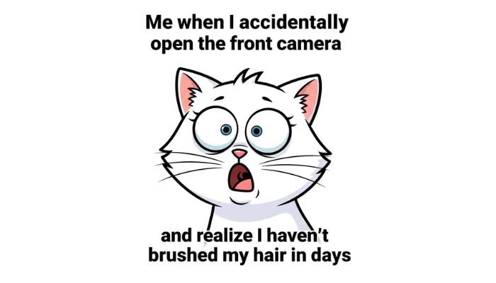 A cartoon female cat with a party hat, smirking and looking mischievous.